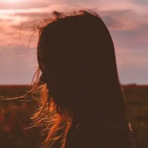 东京热视频在线观看
